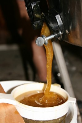 honey-pouring-341x512.jpg
