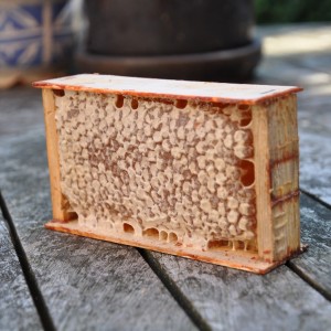 small-honeycomb-in-frame.jpg