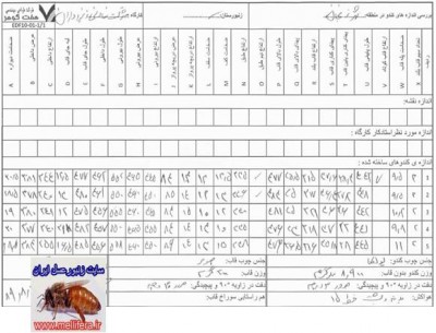 جدول 4- نمونه فرم اندازه‌برداری کندوهای لانگستروت ایران ( 4 )