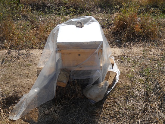 DSCN0858.JPG