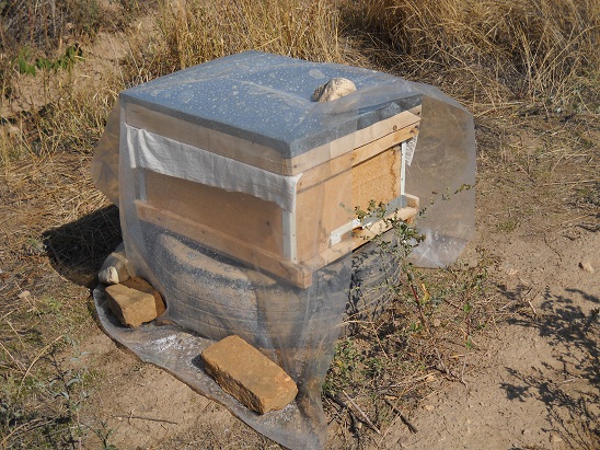 DSCN0862.JPG