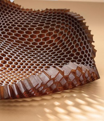 honeycomb-gal-431.jpg