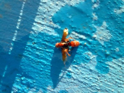 13072012853.jpg