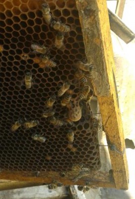 20130531_114832-1.jpg