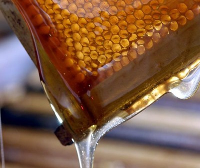 image-kangaroo-island-honey.jpg