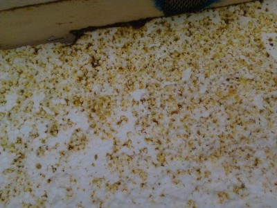 2013-07-23 18.54.15.jpg