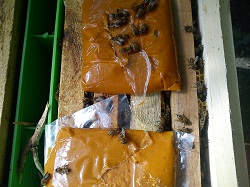 به دلیل کمبود گرده ایشون(اقای جباری) از محصولات پروبی در زنبورستانشون اسفاده میکردن