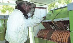 rotating_beehive_2.jpg