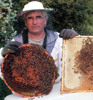 rotating_beehive_3.jpg