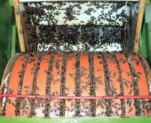 rotating_beehive_4.jpg