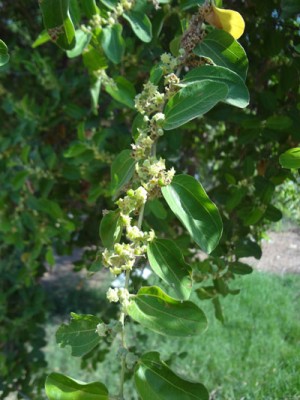 DSC02425.jpg