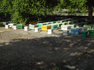 DSC02443.jpg