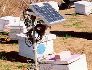 solar_heating_2.jpg