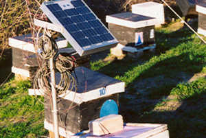 solar_heating_3.jpg