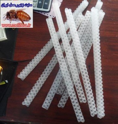 کادرهاي فنجانک ژله چيني