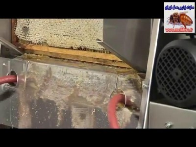 برداشت سرپوش سلولهای عسل توسط کاردک که این کا رو در هر دو طرف به صورت همزمان انجام داده میشود.
