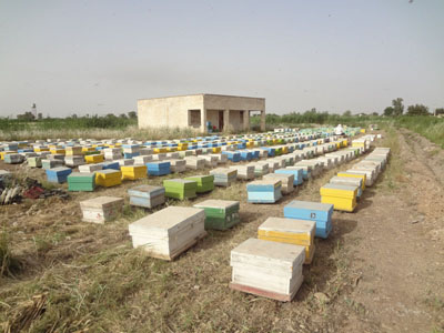 Copy of DSC01656.JPG