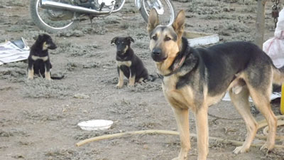 DSCF1290.JPG