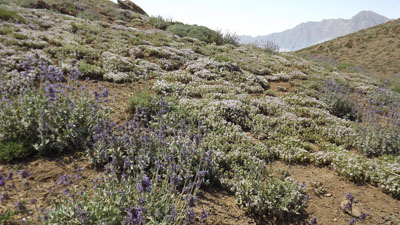 DSCF1342.JPG