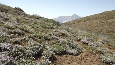 DSCF1343.JPG