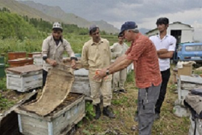 Discussing_strengthening_bee_colonies.JPG