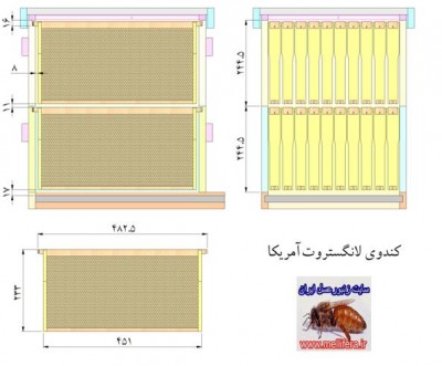 شکل 3- نمای برش‌خورده کندوی لانگستروت آمریکا و اندازه قاب آن ( 4 )
