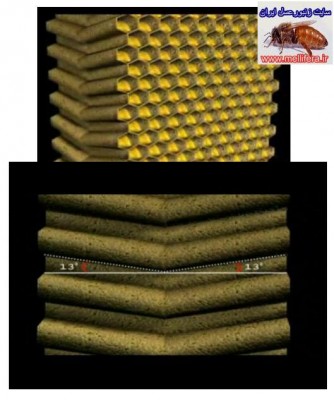 دلیل شش ظلعی بودن سلول زنبورعسل
