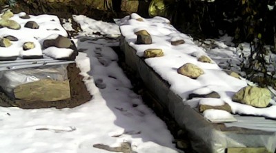 IMG_20141203_114918.JPG