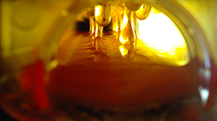 modern-bee-hive-3.jpg