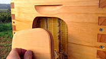 modern-bee-hive-5.jpg