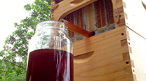 modern-bee-hive-8.jpg