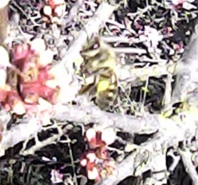 IMG_20150327_162131.jpg (76.31 کیلو بایت) مشاهده 8467 مرتبه IMG_20150327_162131.jpg