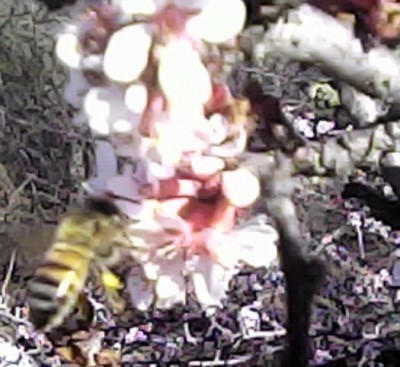 IMG_20150327_162010.jpg (77.5 کیلو بایت) مشاهده 8393 مرتبه IMG_20150327_162010.jpg