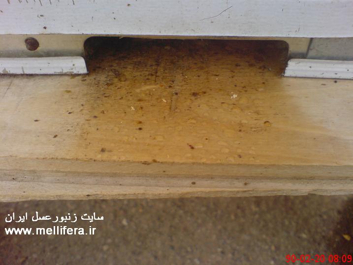 تصویر جمع شدن قطرات اب جلوی دریچه پرواز