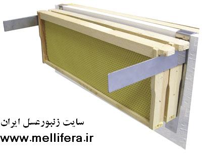 قاب گیر کنار کندو