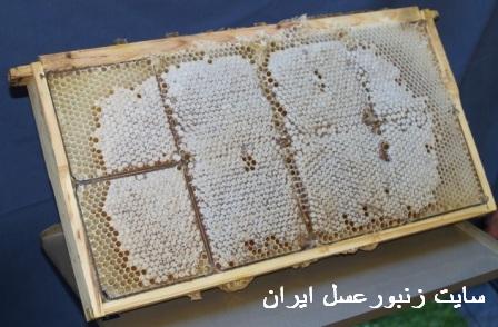 قابهای قسمت بندی شده برای فروش و بازاریابی