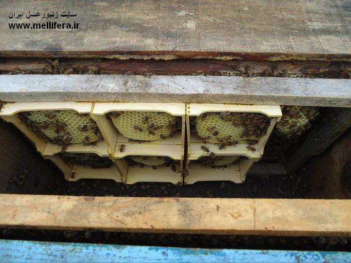 قابهای قسمت بندی شده برای فروش و بازاریابی