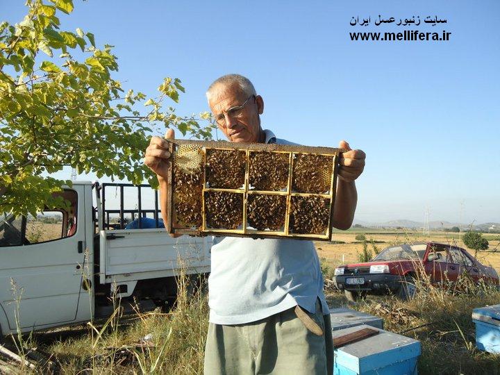 قابهای قسمت بندی شده برای فروش و بازاریابی