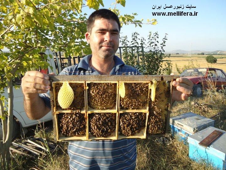 قابهای قسمت بندی شده برای فروش و بازاریابی