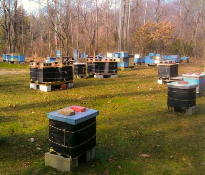 Winter-Nuc-updated-pic-51.jpg