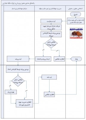 راهنماي صدور مجوز پرورش و تولید ملکه تجارتی