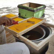 برگه موم پلاستیکی