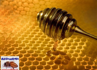 خواص و مواد موجود در عسل