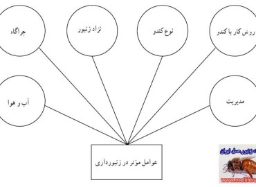 برقراري زنبورستان و عوامل موثر در ان