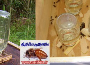 علت تغذيه مصنوعي زنبور با شربت آب و شكر